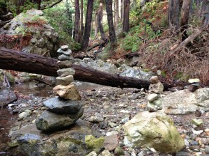 Photo by Matthew David Segall