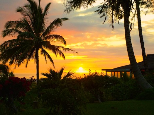 Photo by Becca Tarnas