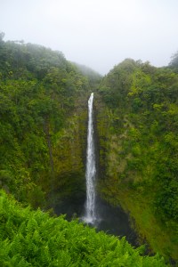 Akaka Falls – Photo by Matt Segall