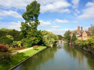 The River Cam – Photo by Becca Tarnas