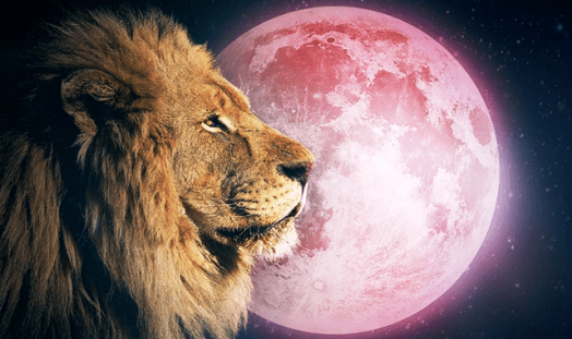 Leo Full Moon
